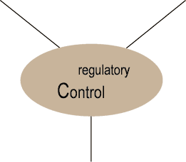 Regulatory Capabilities